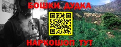 индика Изобильный