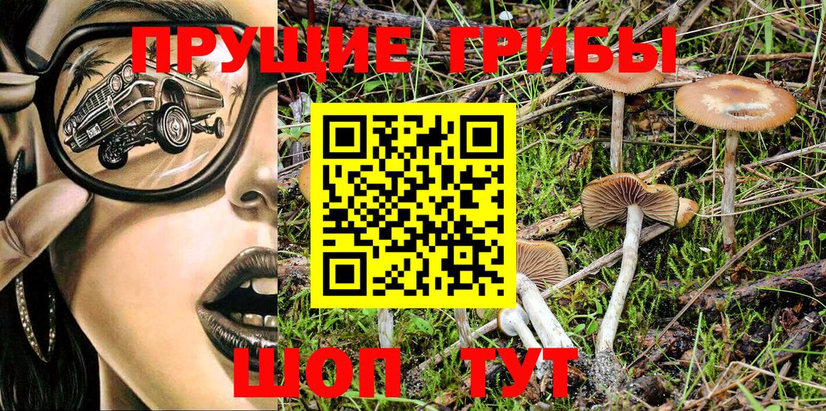 Галлюциногенные грибы Psilocybe  Вход с VPN  Галлюциногенные грибы GOLDEN TEACHER  где можно купить наркотик  Тейково 